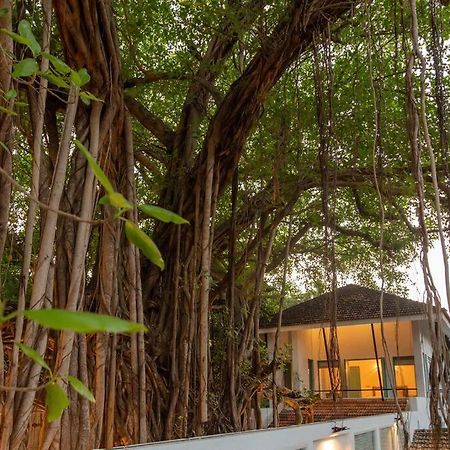 White Banyan Beach Villa, Candolim By The Acacia Villas Exterior foto