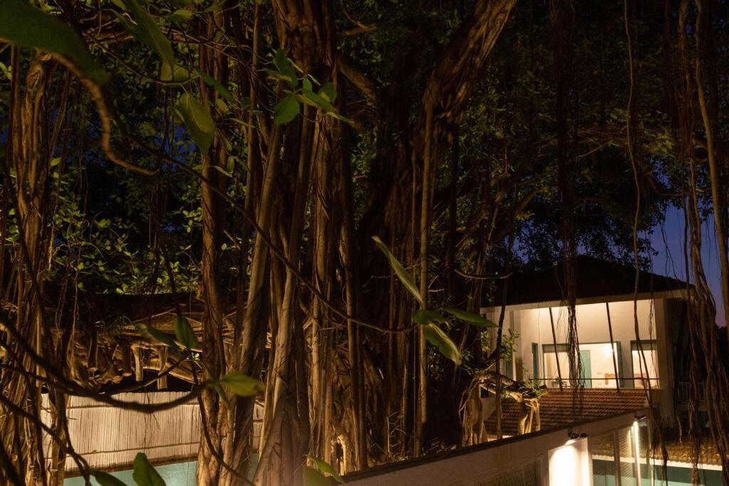 White Banyan Beach Villa, Candolim By The Acacia Villas Exterior foto