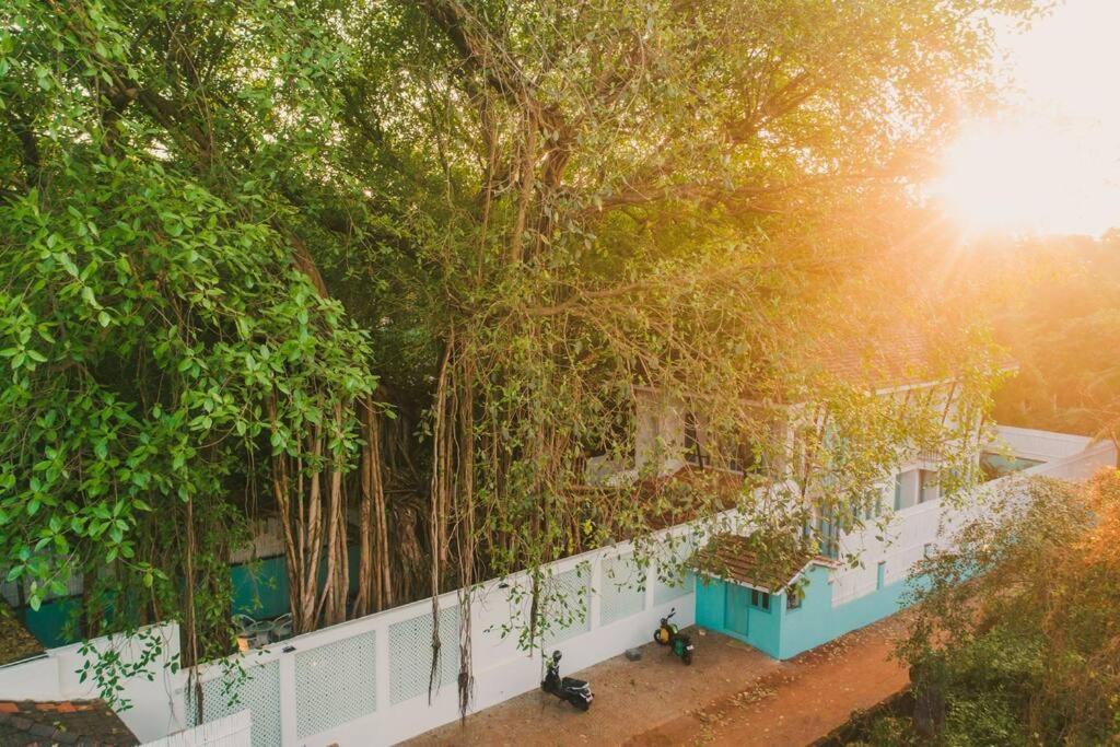 White Banyan Beach Villa, Candolim By The Acacia Villas Exterior foto